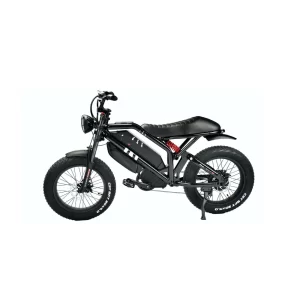 RAEV BULLET GT Electric Bike